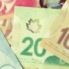 Buy Counterfeit Canadian Dollar online